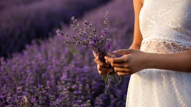 Frau hält Lavendel in der Hand