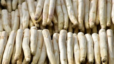 Weißer Spargel