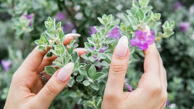 Fingernägel mit Blumendesign