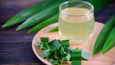 Pandan 