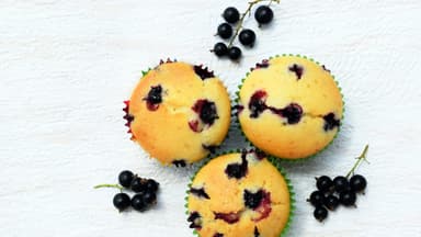 Schwarze Johannisbeer-Muffins 