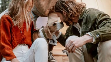 Familie auf einem Campingplatz mit Hund