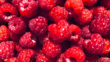 Himbeeren 