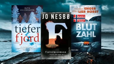 Norwegen-Krimis