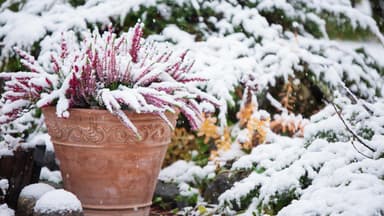 Garten im Winter 