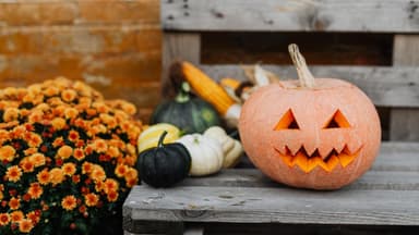 Kürbis für Halloween 