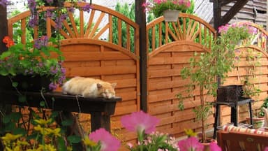 Die perfekte Überdachung für eine kleine Terrasse