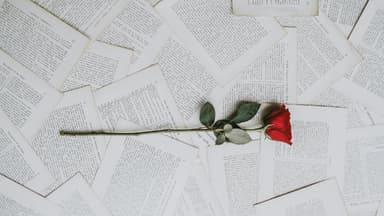Die besten Enemies to Lovers Bücher