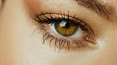 Geschminktes Auge mit Inner Eye Corner Highlights