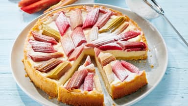 Rhabarber-Käsekuchen 