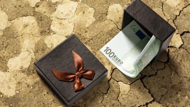 Geld in einer Box 