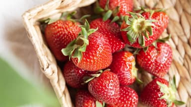 Erdbeeren 