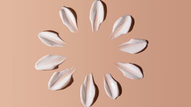 Sonnencreme die nicht klebt und fettet