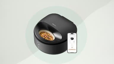 Petlibro Futterautomat Test