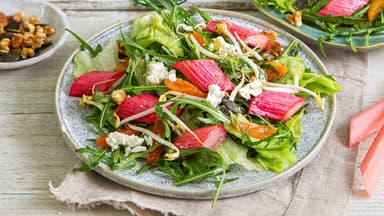 Blattsalat mit Ofenrhabarber 
