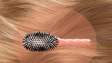 La Bonne Brosse Haarbürste Erfahrungen