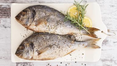 Fisch richtig zubereiten - So gelingt Ihnen das perfekte Fischgericht
