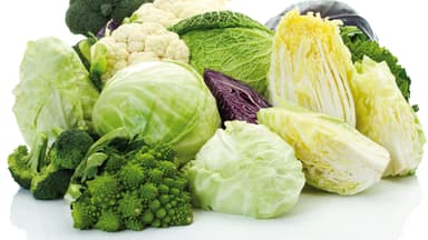 Alles Wissenswerte über Kohl