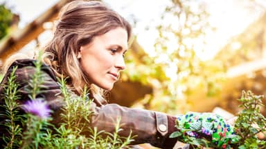 Frau mit Gartenhandschuhen beschneidet Pflanzen