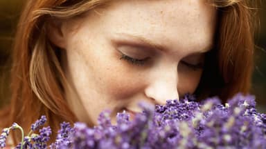 Frau riecht an heilenden Blumen - So lindern Ringelblume, Lavendel und Arnika Ihre Beschwerden