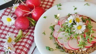Brot mit Radieschen
