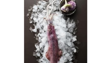 Calamari