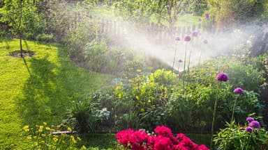Gartenbewässerung im Sommer