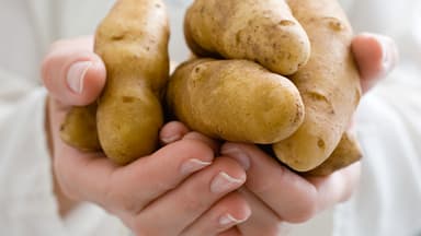 Kartoffeln