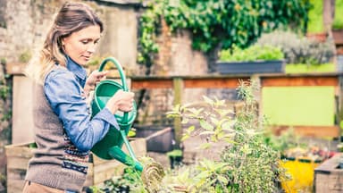 DIY Hochbeet für den Garten selber bauen