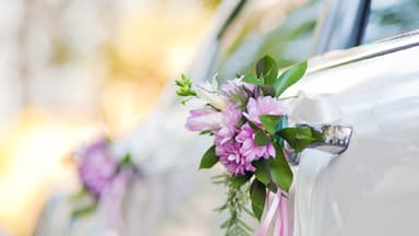 Blumen an Autotür
