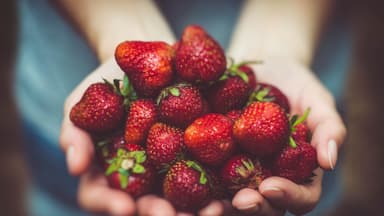 Erdbeeren