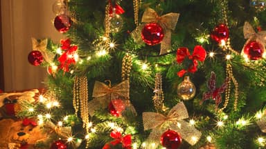 Weihnachtsbaum