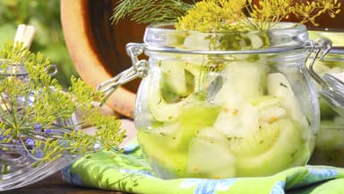 Gurken einlegen - Wir zeigen Ihnen, wie Sie Gurken selbst einlegen können und stellen Ihnen tolle Rezepte vor