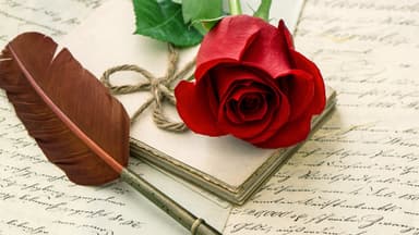 Rose und Feder auf Schrift