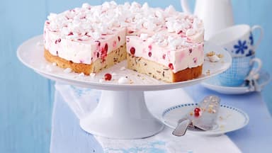 Fruchtige Joghurt Johannisbeer Torte mit richtigen Twist aus frischem Joghurt und fruchtig-saurer Johannisbeere
