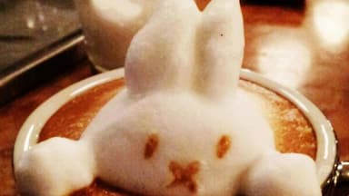 Latte Hase