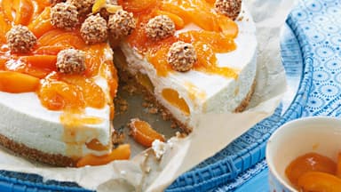 Milchrreis-Aprikosen-Torte