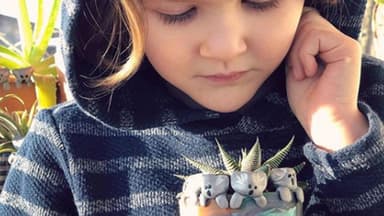 Der 6-jährige Owen Colley bastelt Ton-Koalas für Australien