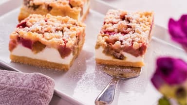 Rhabarber-Quarkkuchen Rezept