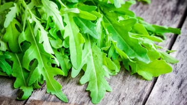 Rucolasalat Rezepte