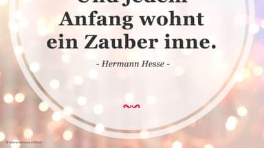 Spruch des Tages 