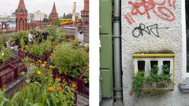 Urban Gardening sorgt für mehr Pflanzen in der Stadt 