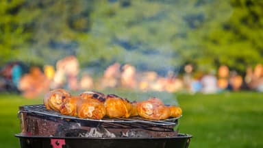 Grill im Park