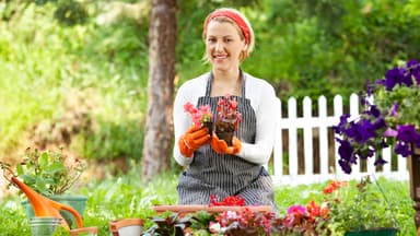 Frau mit Gärtnerschürze beim Pflanzen im Garten