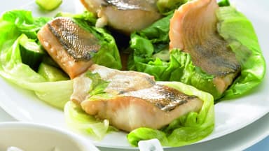 Zanderfilet - So kochen Sie das perfekte Zanderfilet-Rezept mit Salatblatt und Feta-Zitronensauce