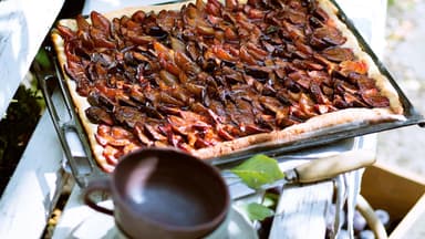 Zwetschgendatschi Kuchen mit Pecannüssen