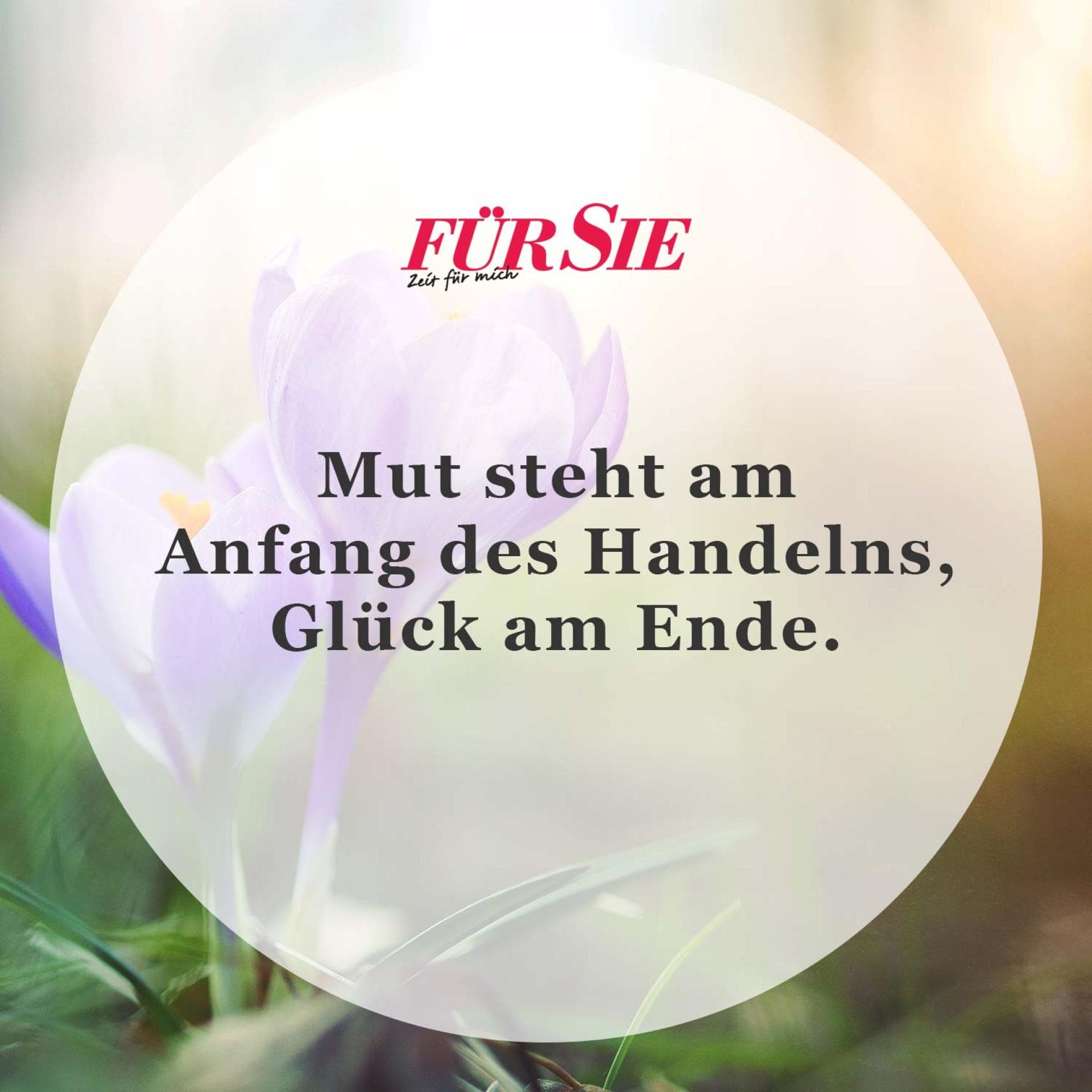 Spruch des Tages