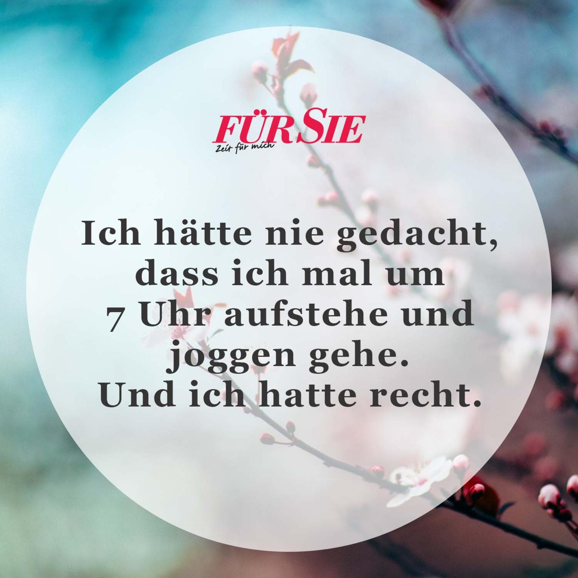 Spruch des Tages