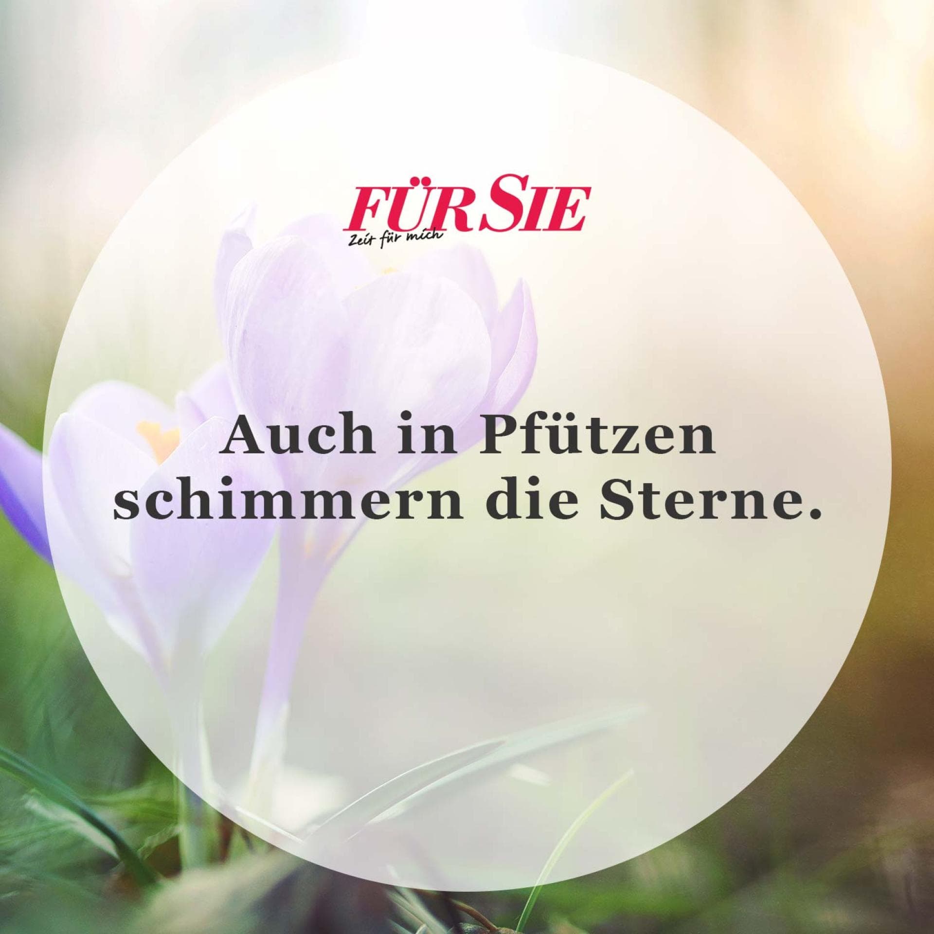 Spruch des Tages