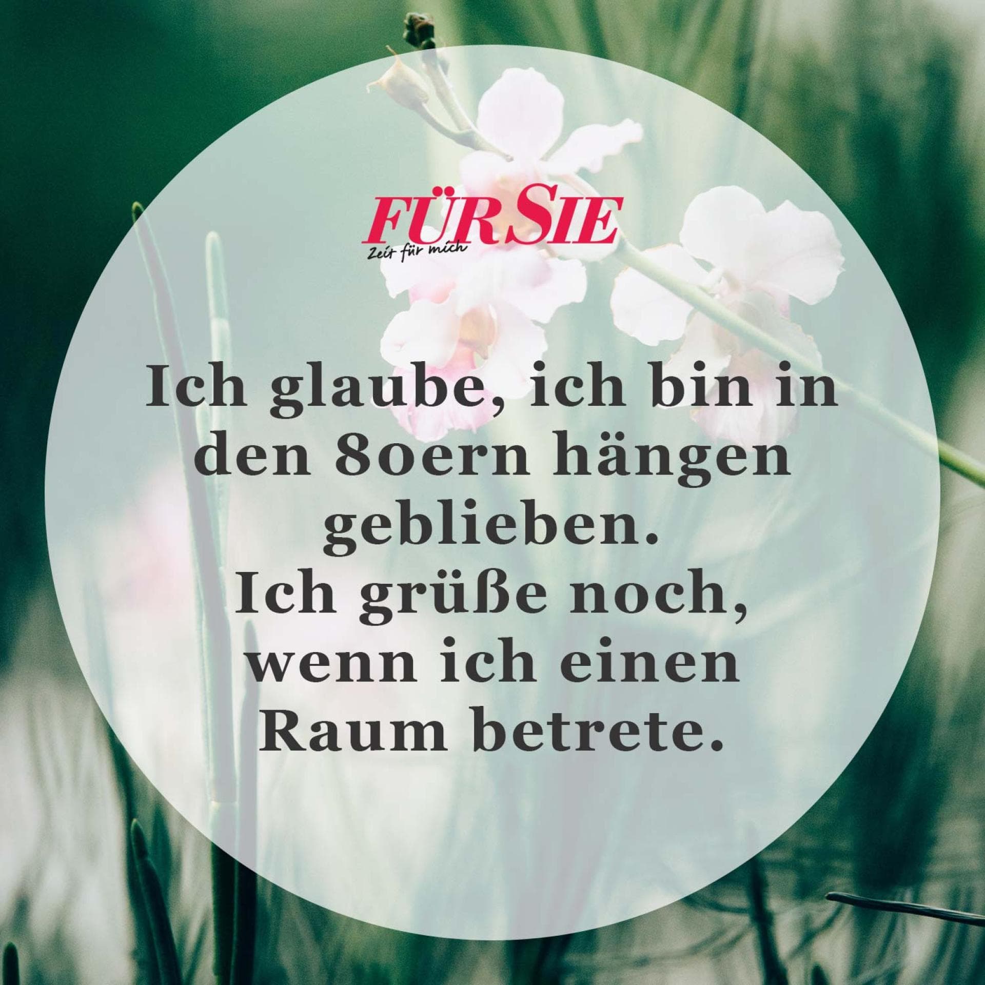 Spruch des Tages
